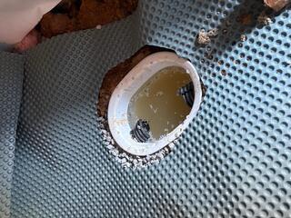 Crawl Space Drainage System in Mc Kee, KY