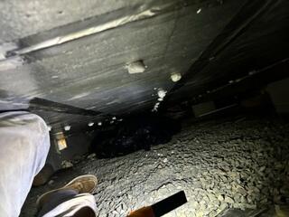 Musty Crawl Space