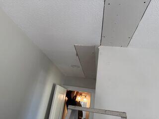 ceiling replacement