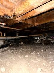 During the inspection of the home's crawl space, the LRE Design Specialist discovered extensive moisture damage to the home's wooden floor joists.