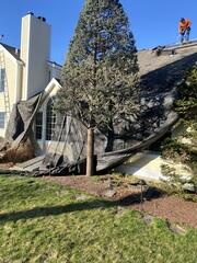 Tear-Off With Care