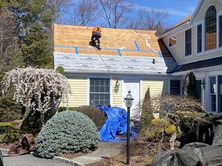 Front Elevation in Progress