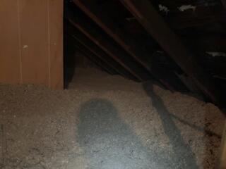 14' open blown cellulose