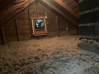 14' open blown cellulose