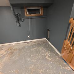 Damage to Finished Basement Side