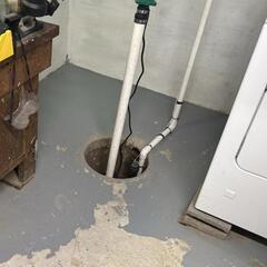 Open and Exposed Sump Pump