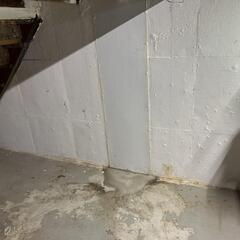 Failed Repairs