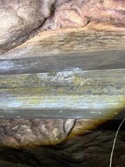 Mold on Floor Joists