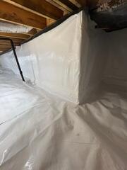 CleanSpace Liner
