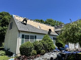 Staggered Shingles