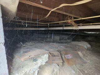 Crawl Space Before
