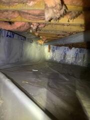 Crawl Space During Inspection