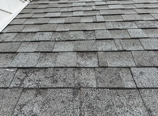 Before Roof