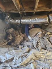 Insulation Removal