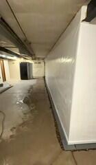 CleanSpace