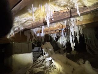 Hanging Insulation