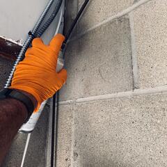 Flushing Out the Carpenter Ants