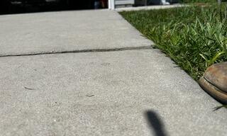 Due to settlement of the underlying soil, the concrete slabs in the homeowner's driveway had shifted and become uneven, creating significant tripping hazards.
