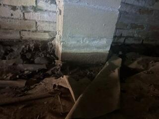 Water Lines on the Wall Show the Crawl Space Holds Water