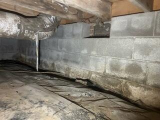 Moisture Intrusion