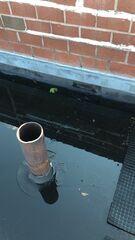 Water pooling from heavy rains