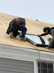 Skylight Protection
