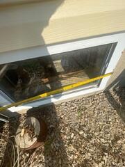 Basement Window Replacement in Bryant