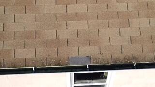 Missing Shingles Along The Edge