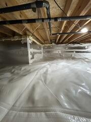 CleanSpace Liner