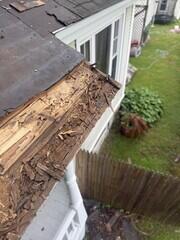 Damaged Decking