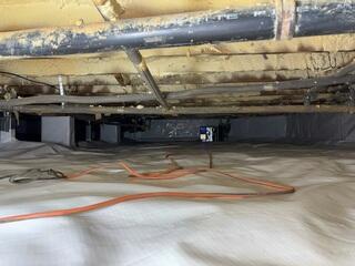 CleanSpace