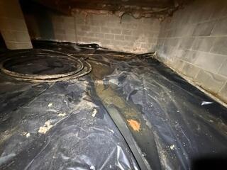 Crawl Space Before Encapsualtion