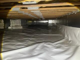 Crawl Space After