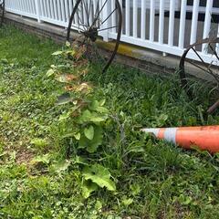Settling Porch with Erosion