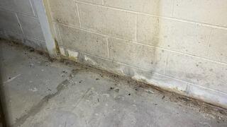 Water Intrusion on Cinder Block Wall