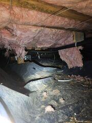 Dirty Crawl Space