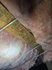 Mold Growing On The Subfloor
