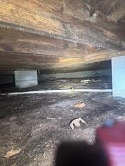 A Damp Crawl Space Can Lead to Wood Rot