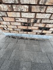 Damaged shingles