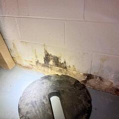 Basement Walls Ruined by Water