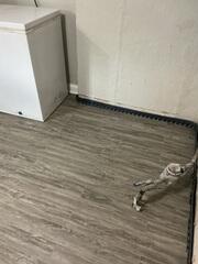 Basement Floors