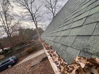Lots of leaves causing issues