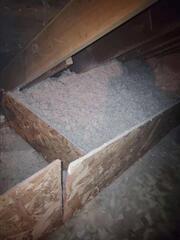 14 inches of Cellulose insulation