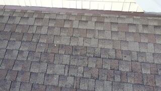 Why the Homeowner Was Concerned