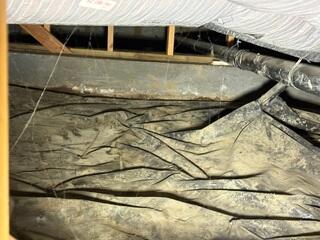 Dirty, Damp Crawl Space