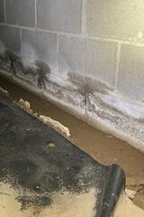Crawl Space During Inspection