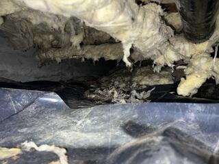 Fallen Fiberglass Insulation