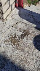 Smaller Cracks In Porch