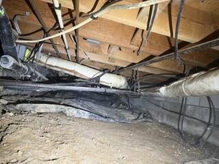 A Dirty Crawl Space is a Haven for Pests and Mold