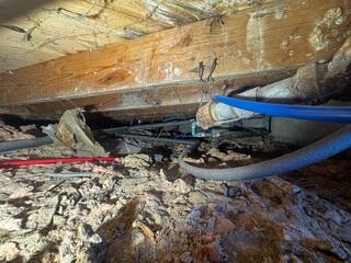 Removing the Old Insulation